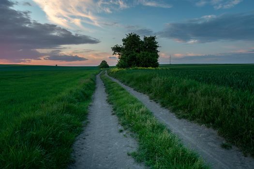 Rural road through green fields and the sky after sunset, Staw, Poland