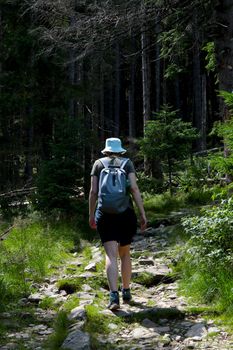 A girl with a backpack climbs a trail in the mountains in the forest