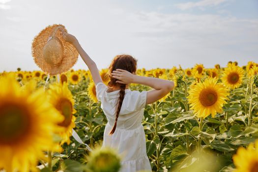 woman with pigtails in a white dress with raised hands a field of sunflowers. High quality photo