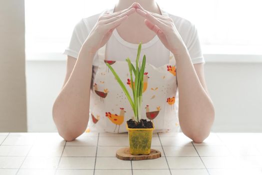 lovely housewife woman in apron with flower in pot. Gardening, holidays, Spring and Easter concept