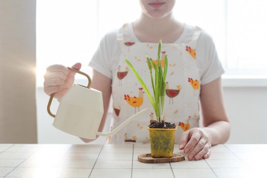 lovely housewife woman in apron with flower in pot. Gardening, holidays, Spring and Easter concept