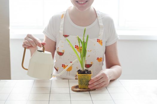 lovely housewife woman in apron with flower in pot. Gardening, holidays, Spring and Easter concept