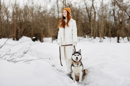 beautiful dog on a leash winter landscape walk friendship Lifestyle. High quality photo