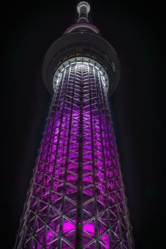 Sky Tree (Sakura Special Light Up). Shooting Location: Tokyo metropolitan area