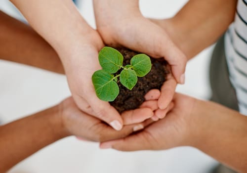 Cropped shot of an unrecognizable group of businesswomen holding plants growing out of soil inside an office.