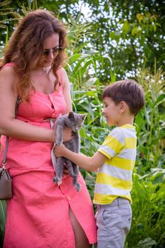 Caucasian mother and her son playing with cat in the village countryside. Boy hugging young kitten. Playing with a cat.