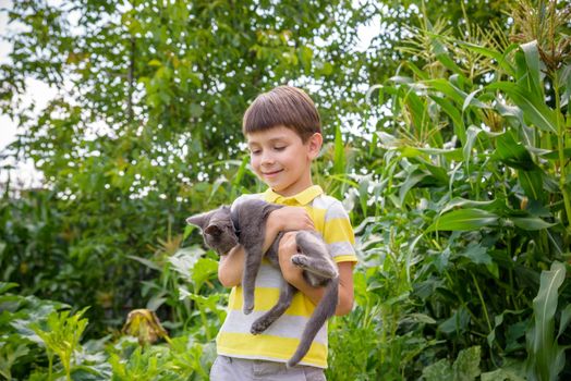 Funny boy hugging a cat with lots of love. Portrait of child holding on hands a Kitten. Playing with a cat on village countryside.