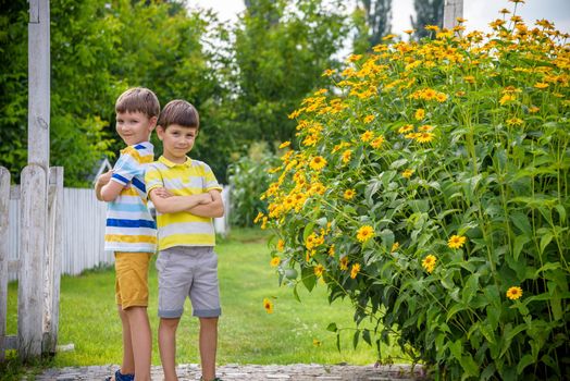 Portrait of two boys in the summer at the domestic garden in the village outdoor. Friendship and leisure in countryside concept.