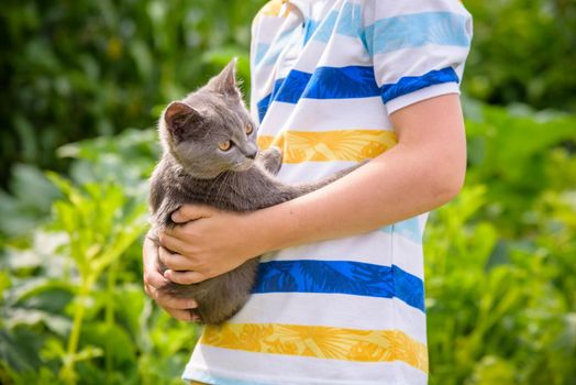 Boy hugging a cat with lots of love. Close up portrait of kitten on hands. Playing with a cat on village countryside.