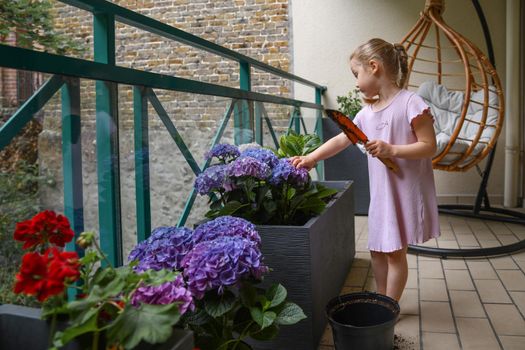 Girl planting hydrangea on the balcony
