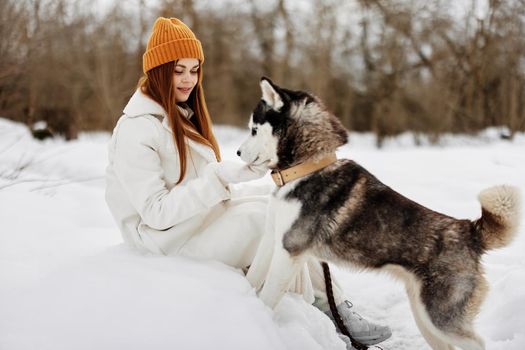young woman in the snow playing with a dog outdoors friendship winter holidays. High quality photo