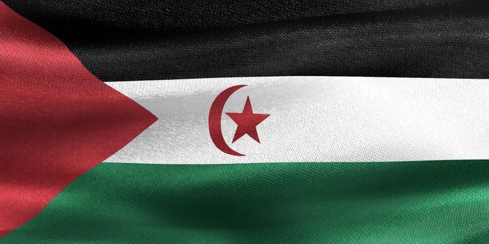 Western Sahara flag - realistic waving fabric flag