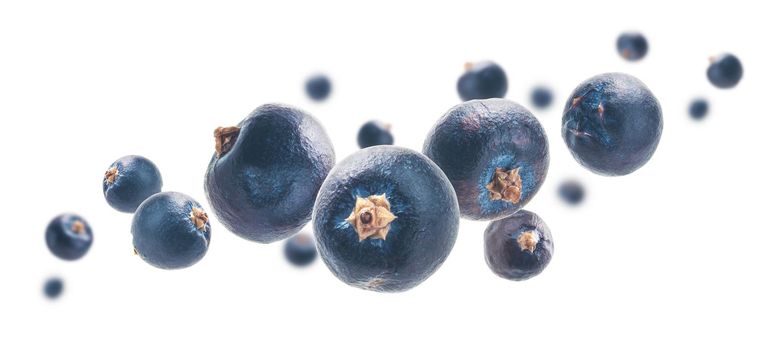 Juniper berries levitate on a white background.