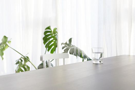 Glass of water placed on white table with chair near potted Monstera deliciosa plant in light modern apartment