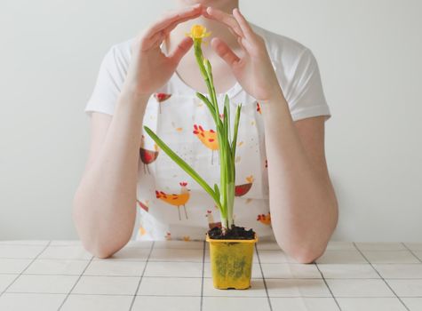 housewife woman in apron with flower in pot. Gardening, holidays, Spring and Easter concept