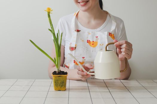 lovely housewife woman in apron with flower in pot. Gardening, holidays, Spring and Easter concept