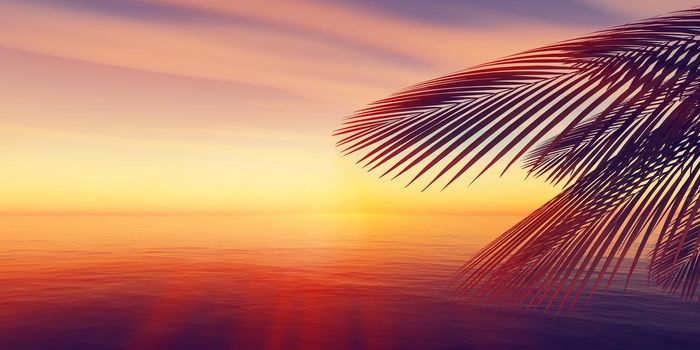 sunset sea palm landscape illustration, 3d render