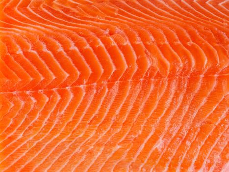 Fresh salmon fillet on white backgrund, close up, macro