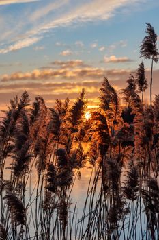 Beautiful sunset light over lake Balaton of Hungary