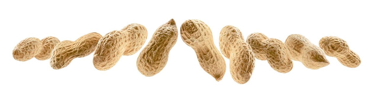 Peanuts in the shell levitate on a white background.