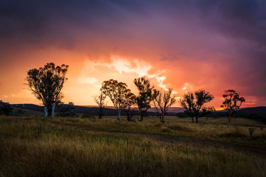 Sunset storm clouds over rural Australian countryside, with gum trees and undulating hills. A typical Australian view in rural areas