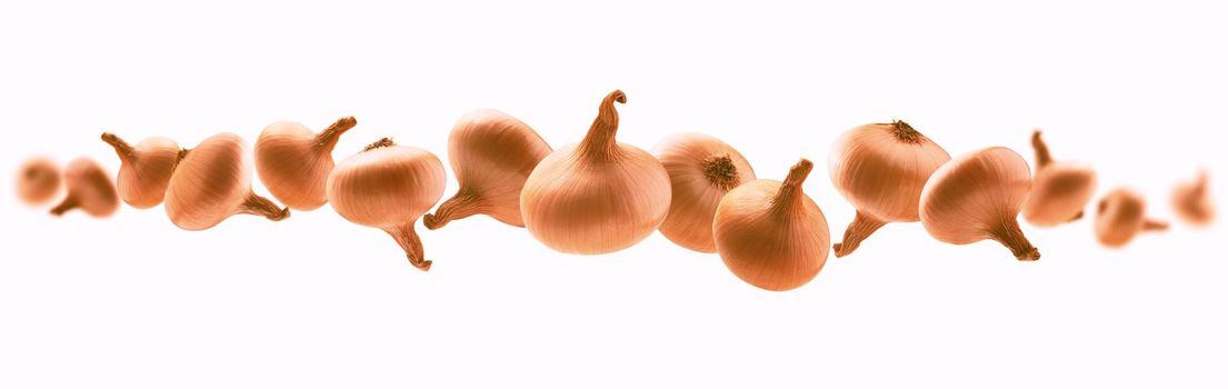 Ripe Golden onion levitates on a white background.