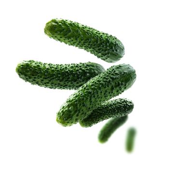 Green cucumbers levitate on a white background.