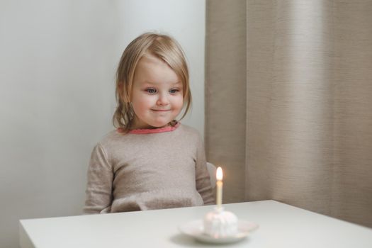 Cute beautiful little baby girl celebrating first birthday. Child blowing one candle on homemade baked cake, indoor. Birthday family party for lovely toddler child, beautiful daughter