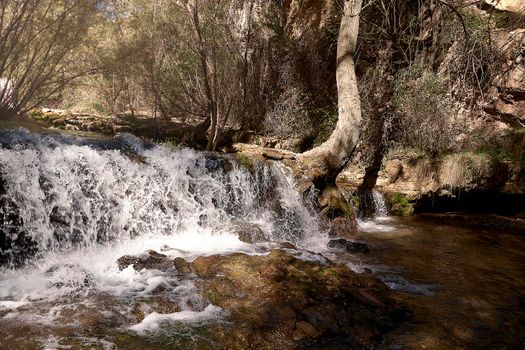 Transparent waterfall in the forest on a sunny day. Troubled water, trees on the shore, idyllic landscape.