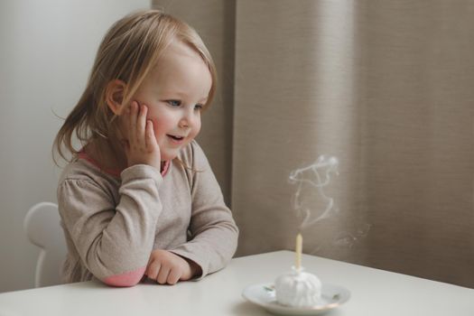 Cute beautiful little baby girl celebrating first birthday. Child blowing one candle on homemade baked cake, indoor. Birthday family party for lovely toddler child, beautiful happy daughter