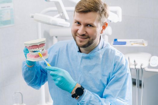 A model of a human jaw with teeth and a toothbrush in the dentist's hand.