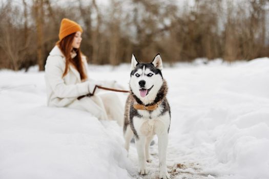 young woman winter outdoors with a dog fun nature winter holidays. High quality photo