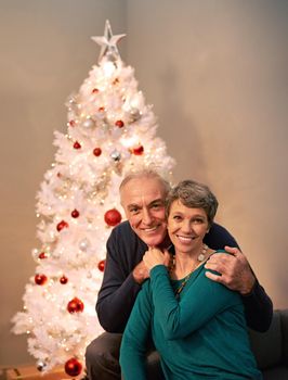 Cropped portrait of a happy mature couple beside a Christmas tree.