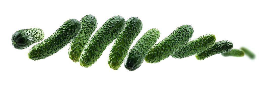 Green cucumbers levitate on a white background.