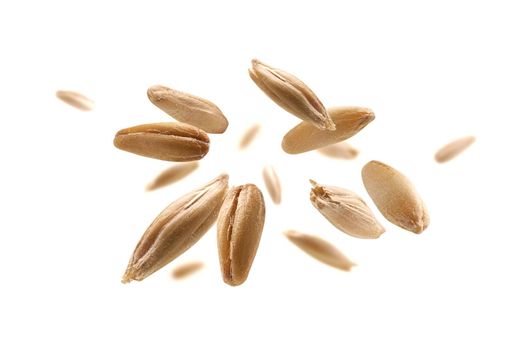 Oat grains levitate on a white background.