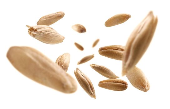 Oat grains levitate on a white background.