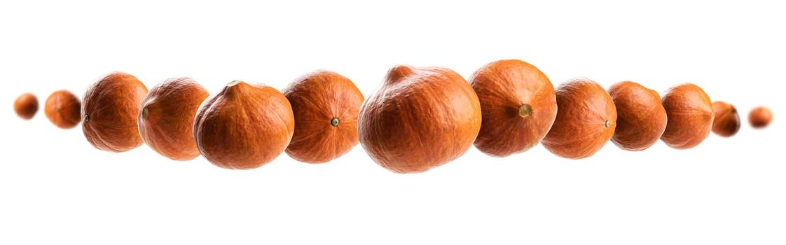 Ripe pumpkins levitate on a white background.