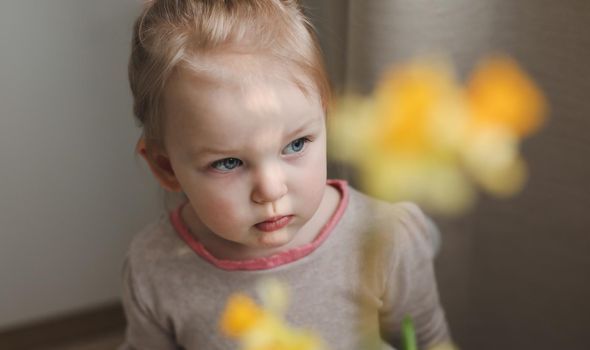 portrait of a little preschool girl with yellow spring daffodil flower at home