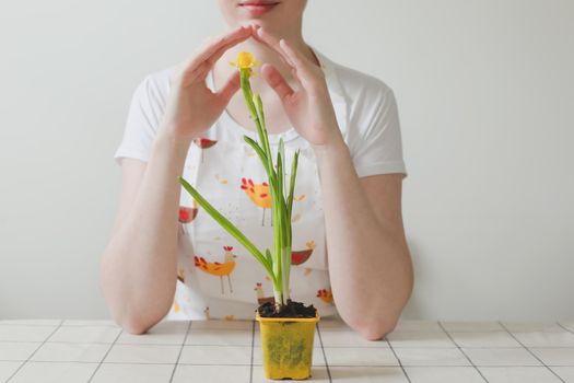 lovely housewife woman in apron with flower in pot. Gardening, holidays, Spring and Easter concept