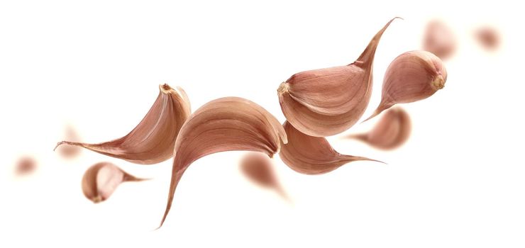 Garlic cloves levitate on a white background.