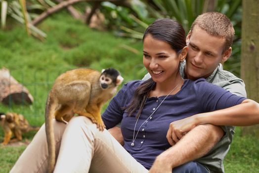 Cropped shot of a young couple spending time at an animal sanctuary.