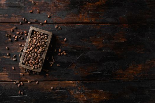 Cedar wild organic nut set, on old dark wooden table background, top view flat lay, with copy space for text