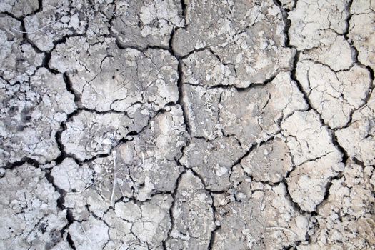 Cracks on very dry ground due to prolonged drought