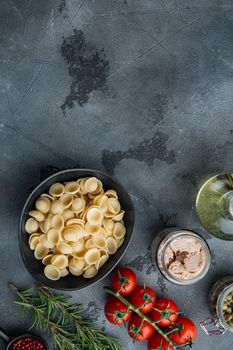 Whole wheat pasta with dried tomatoes and tuna ingredient, on gray background, flat lay with copy space for text