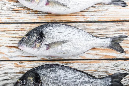 Set of raw whole dorado or Gilt head bream fish over white wood table top view.