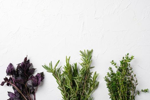 Garden fresh herbs rosemary, thyme, basil set, on white stone table background, top view flat lay, with copy space for text
