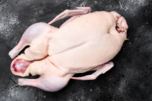 Fresh raw whole duck ready for cooking set, on black dark stone table background, top view flat lay