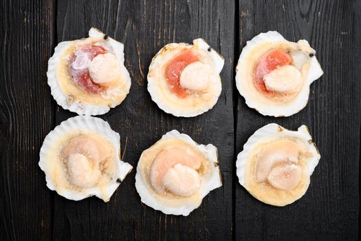 Frozen sea Scallops set, on black wooden table background