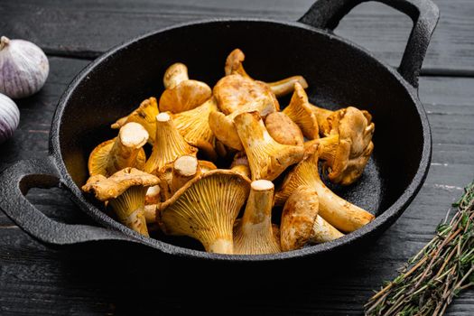 Raw wild chanterelles mushrooms set, in cast iron frying pan
