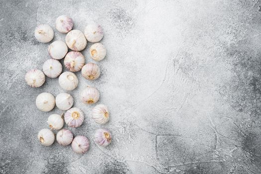 Baby garlic set, on gray stone table background, top view flat lay, with copy space for text